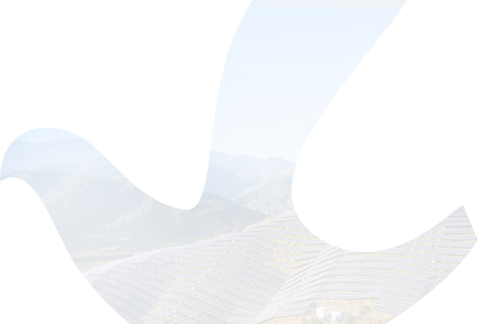 U球体育
